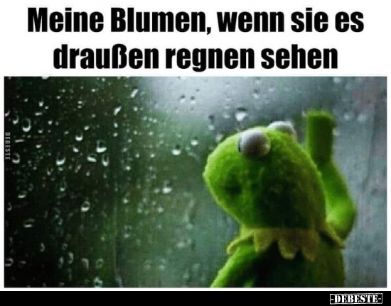 Meine Blumen, wenn.. - Lustige Bilder | DEBESTE.de