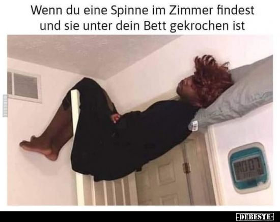 Wenn du eine Spinne im Zimmer findest und sie unter dein.. - Lustige Bilder | DEBESTE.de