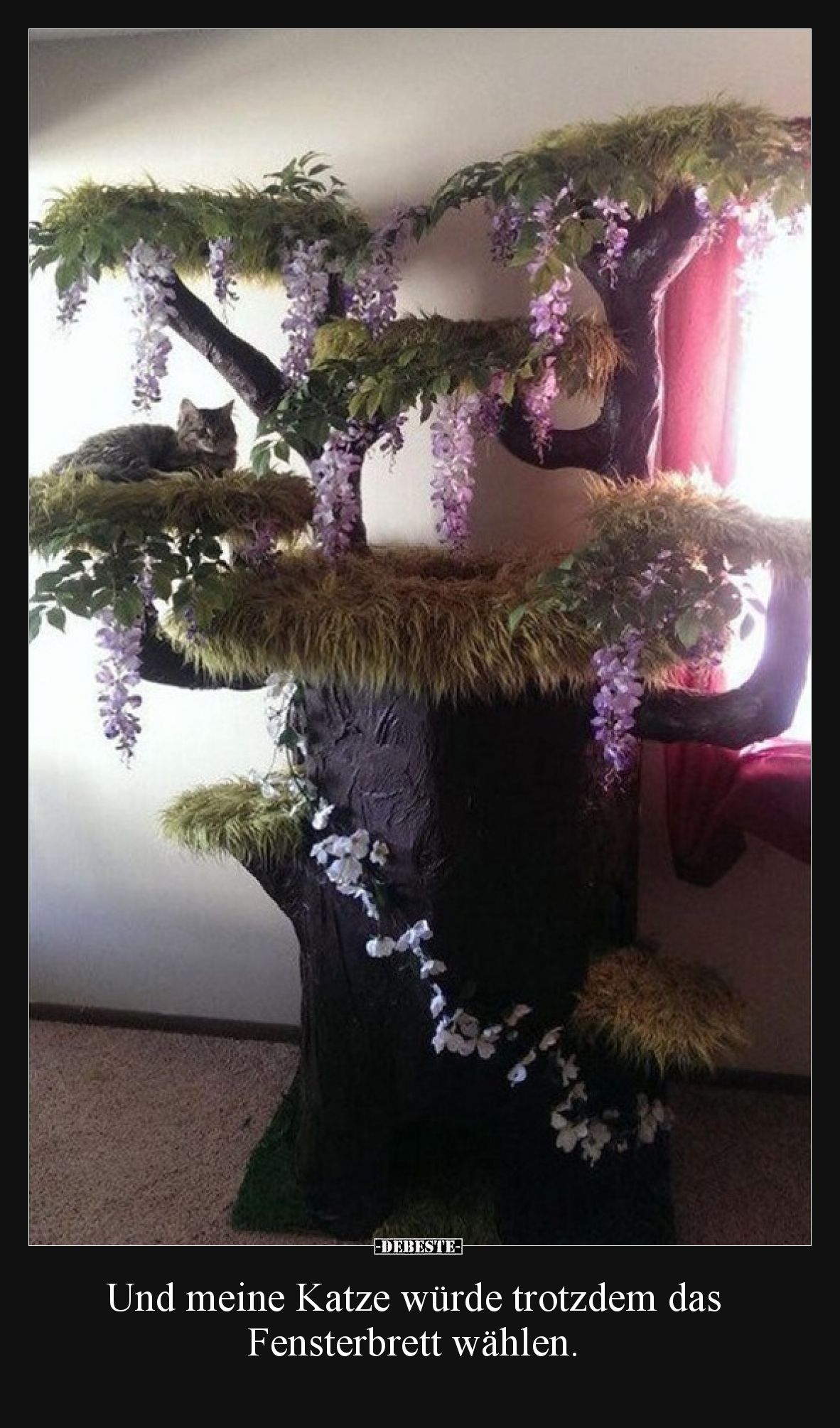 Und meine Katze würde trotzdem das Fensterbrett wählen.