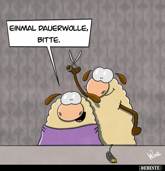 Einmal Dauerwolle, bitte... - Lustige Bilder | DEBESTE.de