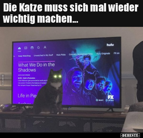 Die Katze muss sich mal wieder wichtig machen... - Lustige Bilder | DEBESTE.de