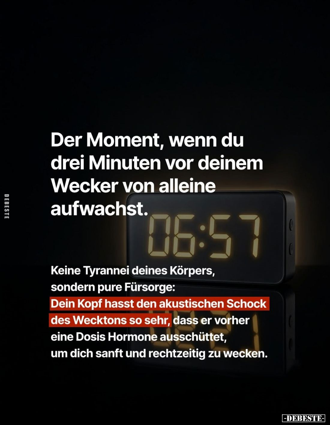 Der Moment, wenn du drei Minuten vor deinem Wecker von alleine aufwachst. Keine Tyrannei deines Körpers,
sondern pure Fürsor...