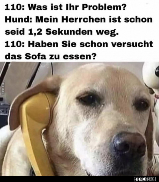 110: Was ist Ihr Problem? Hund: Mein Herrchen ist schon.. - Lustige Bilder | DEBESTE.de