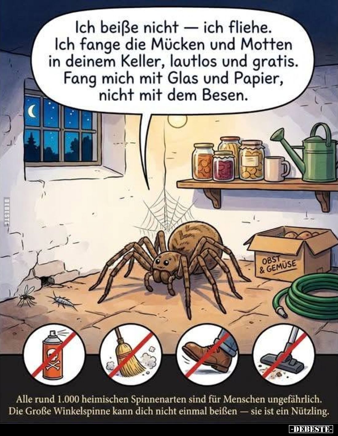 Ich beiße nicht - ich fliehe.
Ich fange die Mücken und Motten in deinem Keller, lautlos und gratis.
Fang mich mit Glas und ...