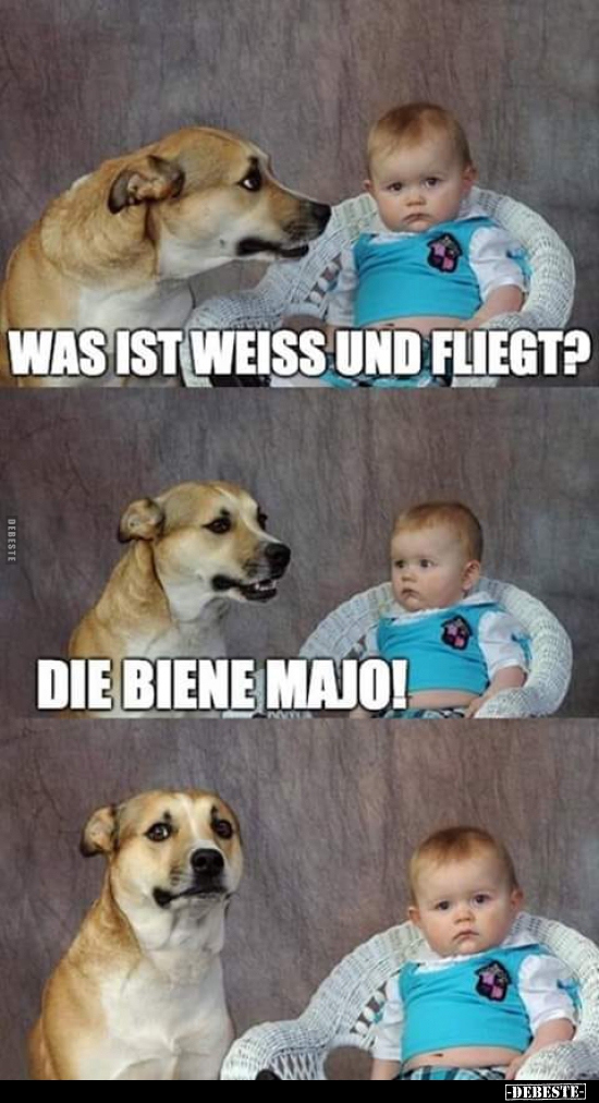 Was ist weiss und fliegt?