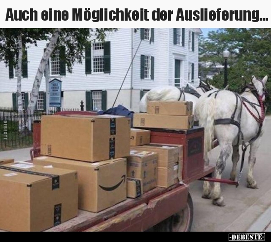 Auch eine Möglichkeit der Auslieferung...