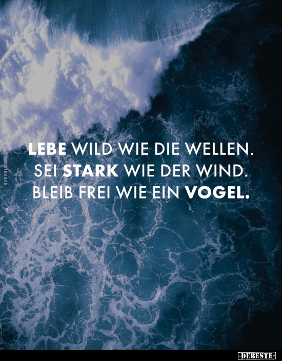 Lebe wild wie die Wellen. Sei stark wie der Wind... - Lustige Bilder | DEBESTE.de