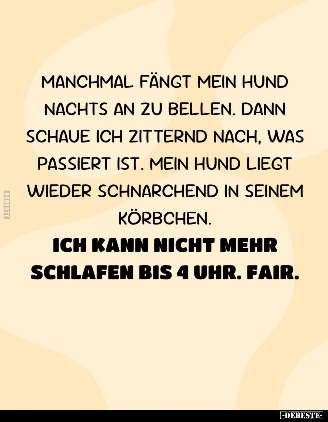 Manchmal fängt mein Hund nachts an zu bellen. Dann schaue ich zitternd nach, was passiert ist. Mein Hund liegt wieder schnarc...