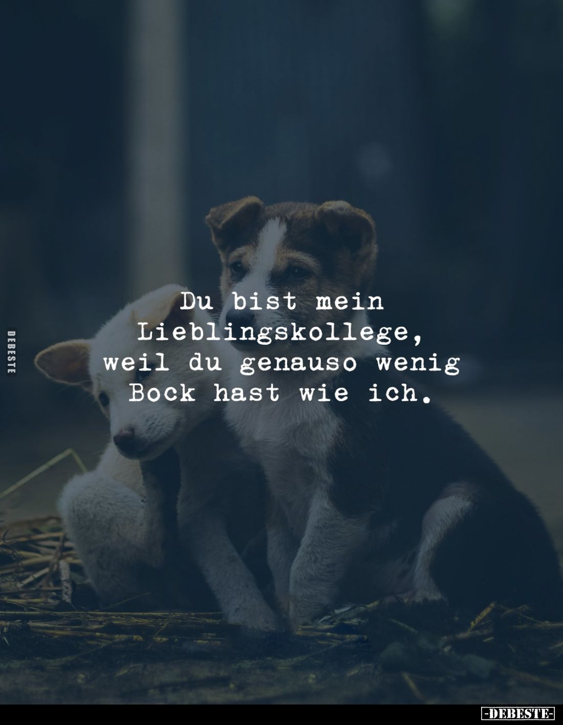 Du bist mein Lieblingskollege, weil du genauso wenig Bock hast wie ich.