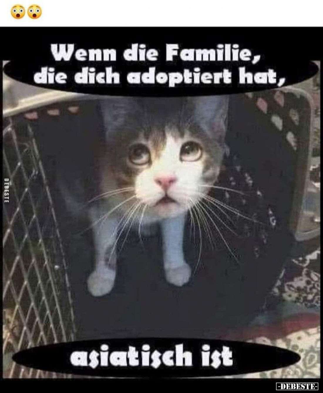 Wenn die Familie, die dich adoptiert hat, asiatisch ist