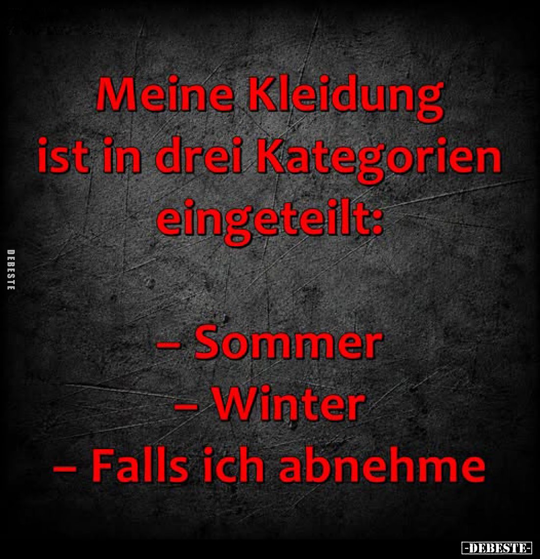 Meine Kleidung ist in drei Kategorien eingeteilt:
– Sommer
– Winter
– Falls ich abnehme