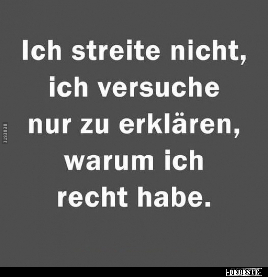 Ich streite nicht, ich versuche nur zu erklären.. - Lustige Bilder | DEBESTE.de