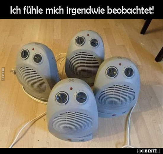 Ich fühle mich irgendwie beobachtet!
