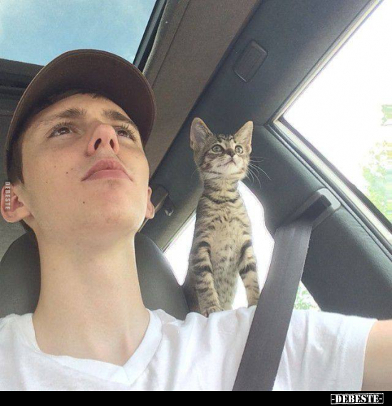  - Lustige Bilder | DEBESTE.de