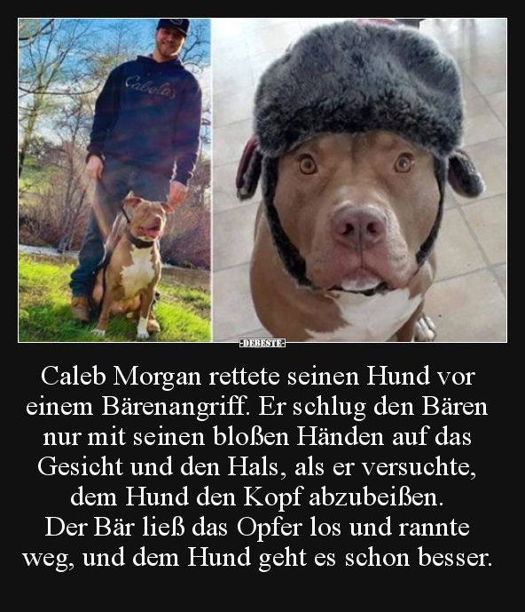 Caleb Morgan rettete seinen Hund vor einem Bärenangriff... - Lustige Bilder | DEBESTE.de