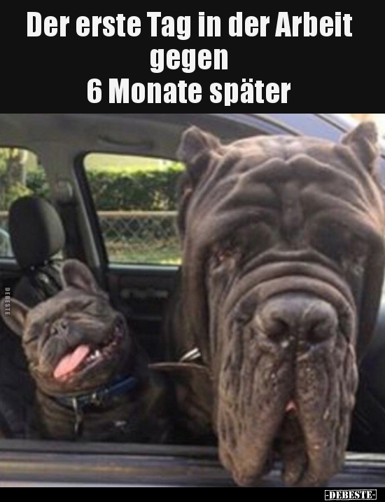 Der erste Tag in der Arbeit gegen6 Monate später..
