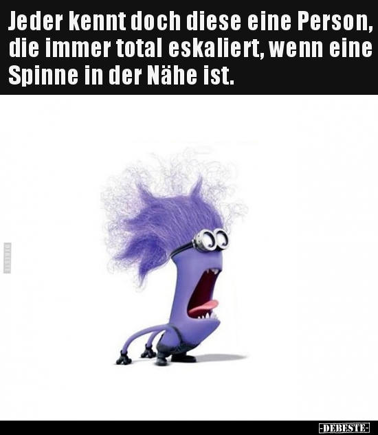 Jeder kennt doch diese eine Person, die immer total..
