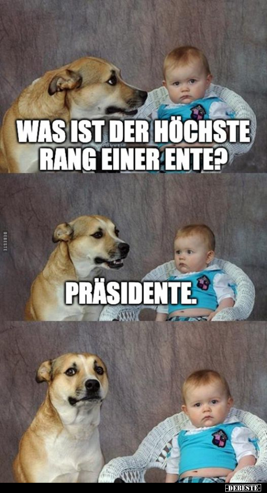 Was ist der höchste Rang einer Ente? - Lustige Bilder | DEBESTE.de