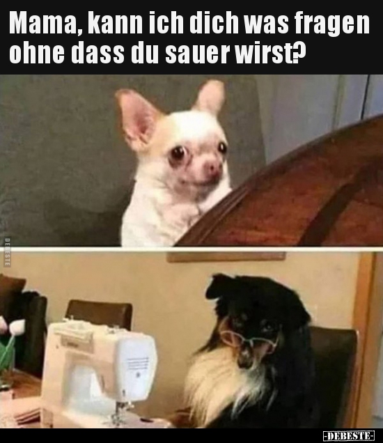 Mama, kann ich dich was fragen ohne dass du sauer.. - Lustige Bilder | DEBESTE.de