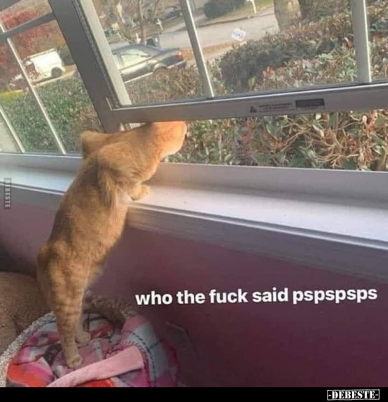  - Lustige Bilder | DEBESTE.de