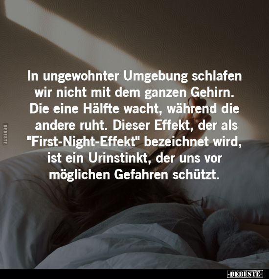 In ungewohnter Umgebung schlafen wir nicht mit dem ganzen.. - Lustige Bilder | DEBESTE.de