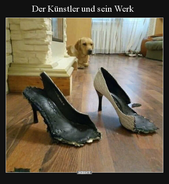 Künstler, Hunde