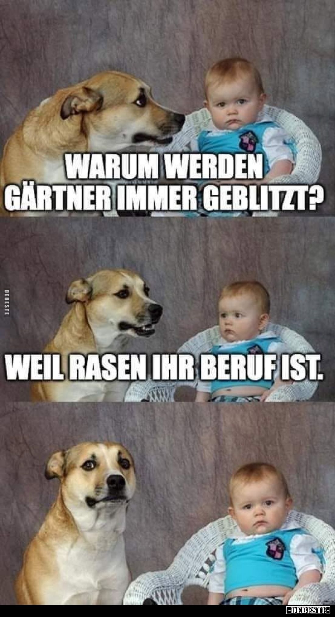 Warum werden Gärtner immer geblitzt? -
Weil Rasen ihr Beruf ist.