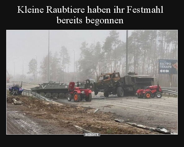 Kleine Raubtiere haben ihr Festmahl bereits begonnen.. - Lustige Bilder | DEBESTE.de