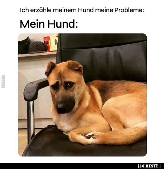 Ich erzähle meinem Hund meine Probleme.. - Lustige Bilder | DEBESTE.de