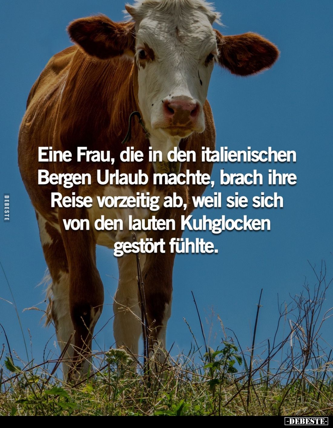 Eine Frau, die in den italienischen Bergen Urlaub machte, brach ihre Reise vorzeitig ab, weil sie sich von den lauten Kuhgloc...