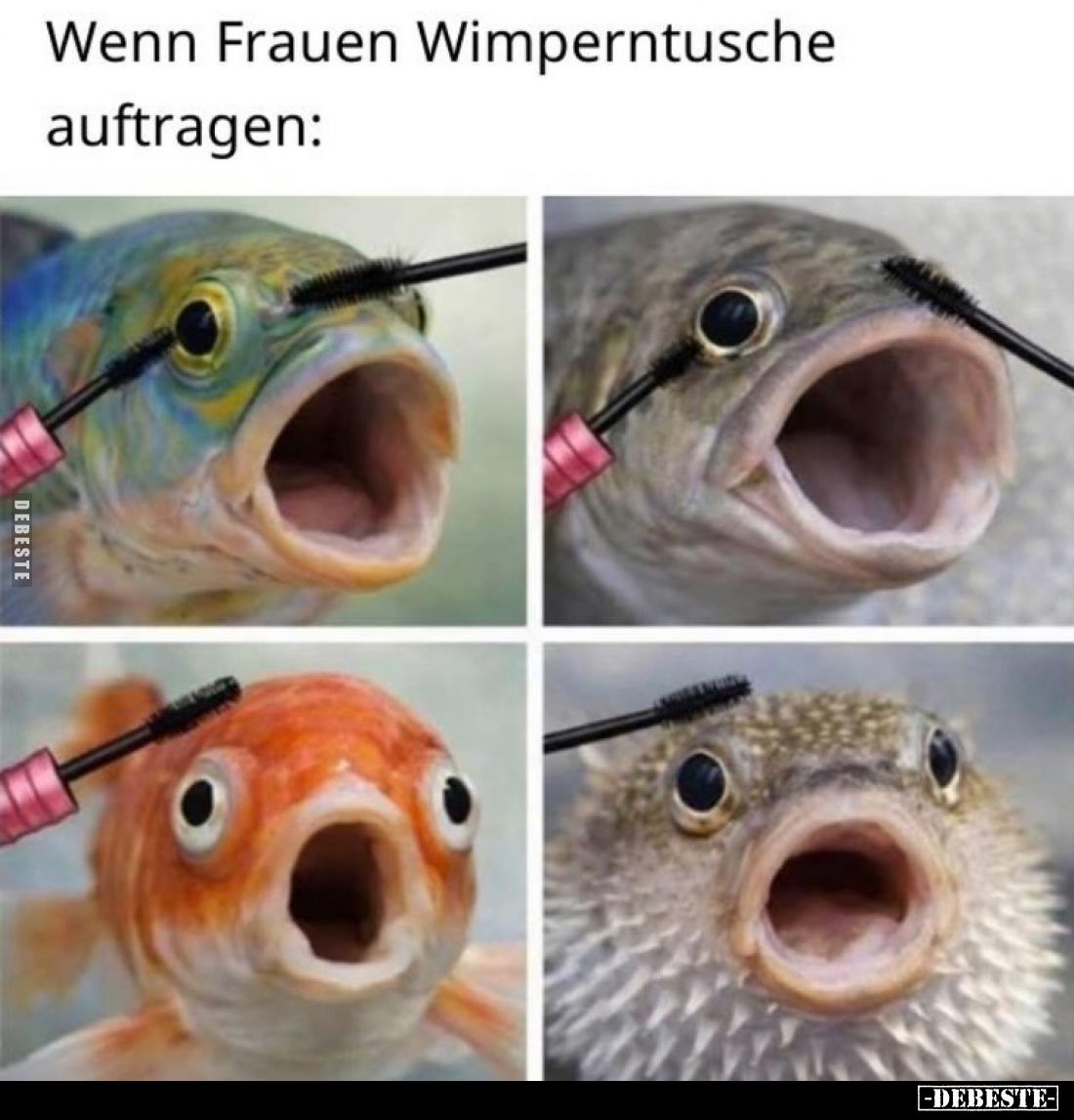 Wenn Frauen Wimperntusche auftragen.