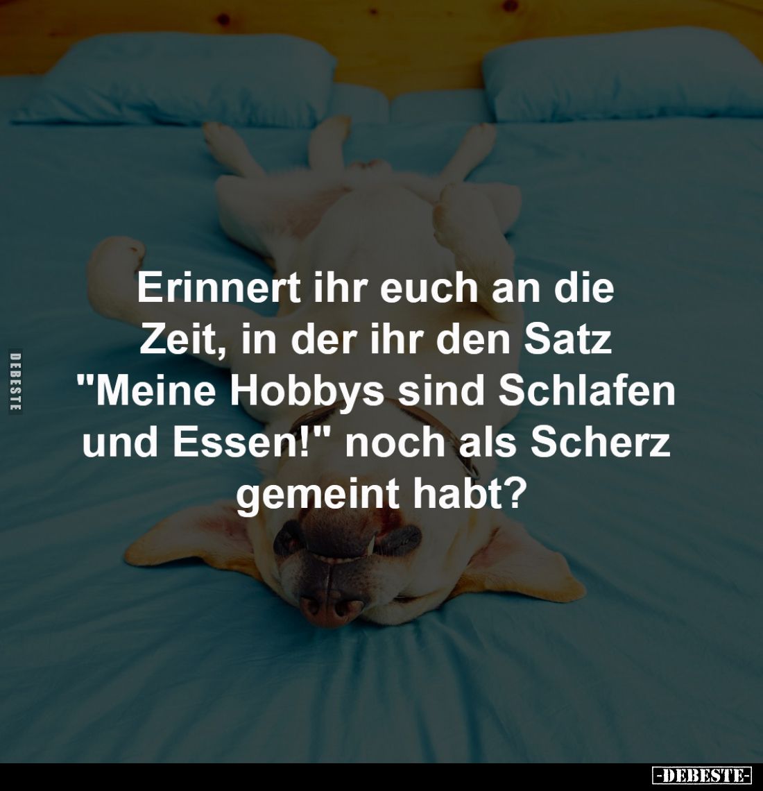 Erinnert ihr euch an die 
Zeit, in der ihr den Satz 
"Meine Hobbys sind Schlafen 
und Essen!" noch als Scherz 
...