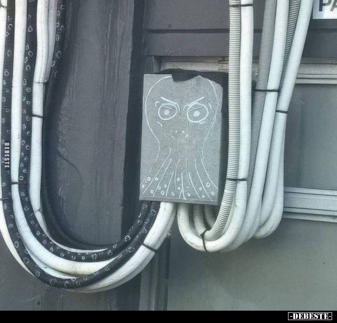  - Lustige Bilder | DEBESTE.de