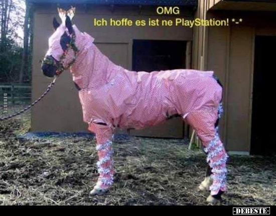 Ich hoffe es ist ne PlayStation! *_*..