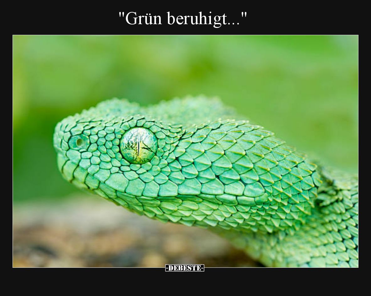 Grün beruhigt.