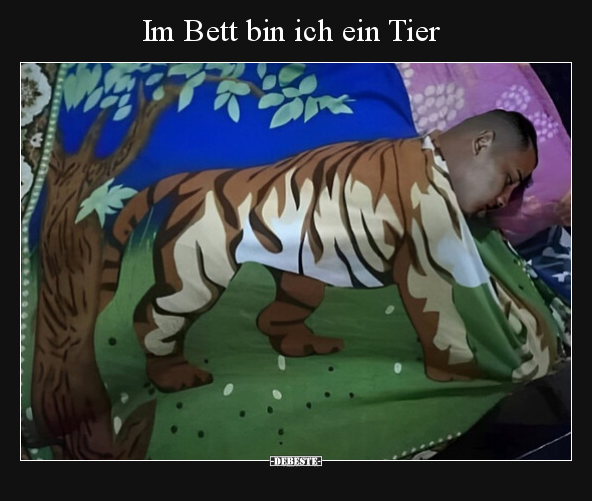 Im Bett bin ich ein Tier.. - Lustige Bilder | DEBESTE.de