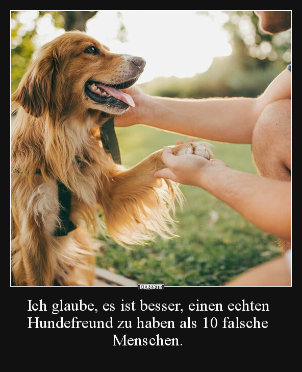 Ich glaube, es ist besser, einen echten Hundefreund zu.. - Lustige Bilder | DEBESTE.de