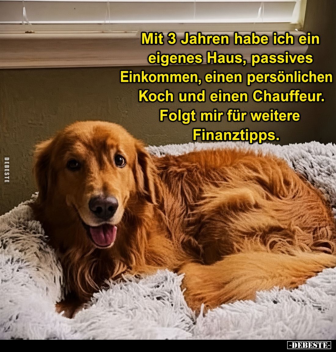 Mit 3 Jahren habe ich ein eigenes Haus, passives Einkommen, einen persönlichen Koch und einen Chauffeur. Folgt mir für weiter...