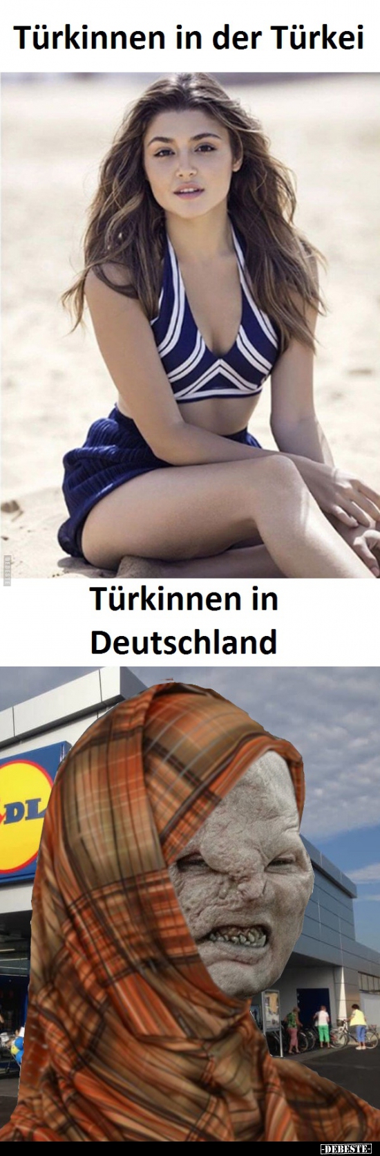 Türkinnen in der Türkei / Türkinnen in Deutschland..