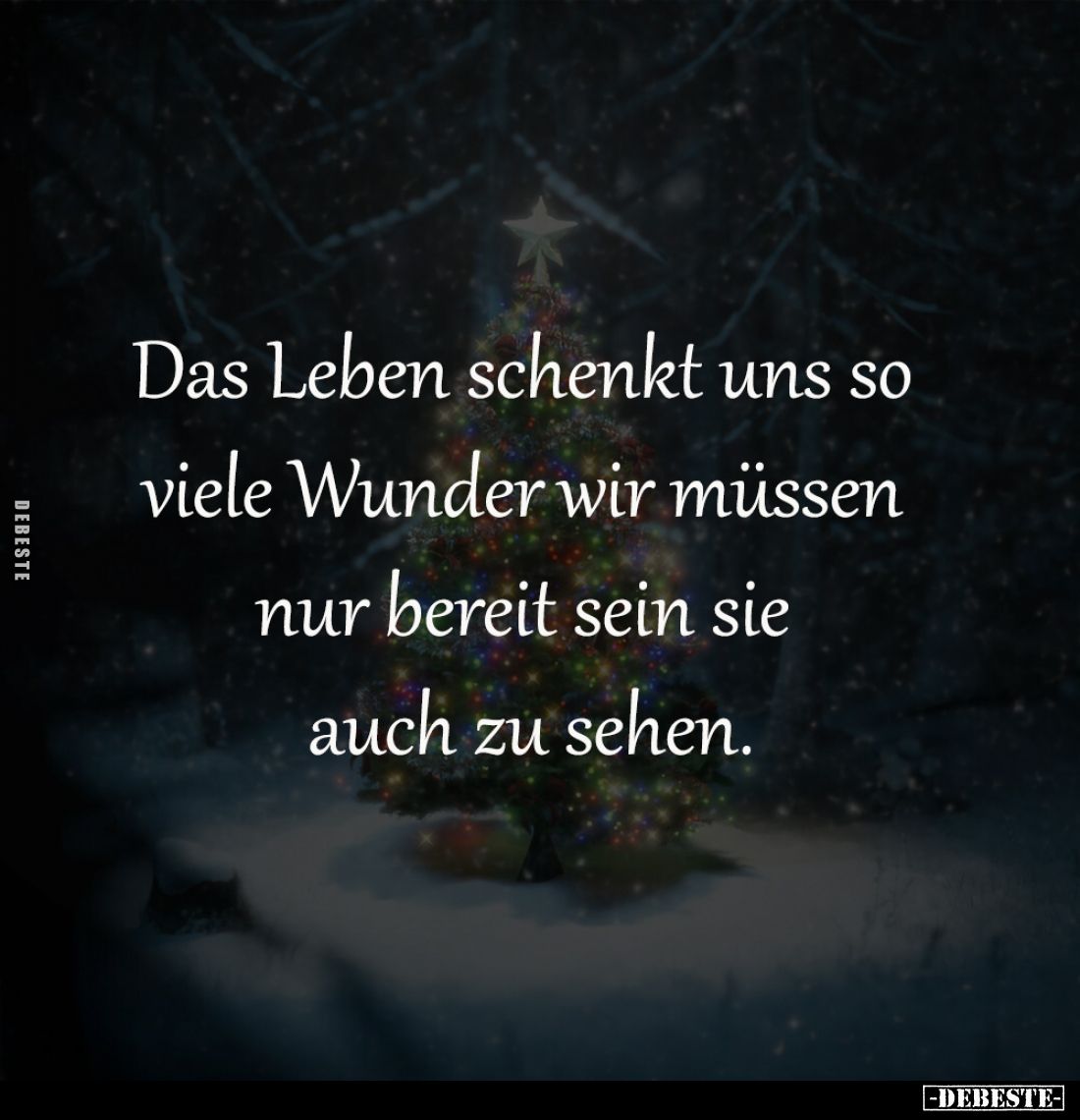 Das Leben schenkt uns so 
viele Wunder wir müssen 
nur bereit sein sie 
auch zu sehen.