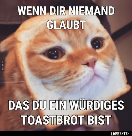 Wenn dir niemand glaubt, dass du ein würdiges Toastbrot.. - Lustige Bilder | DEBESTE.de