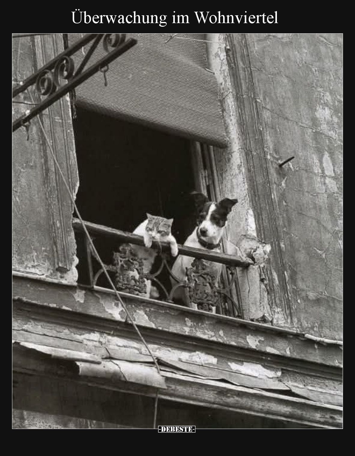 Überwachung im Wohnviertel