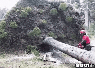 Passt wie angegossen...