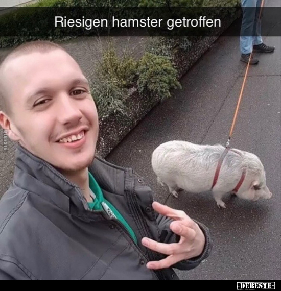 Riesigen hamster getroffen.. - Lustige Bilder | DEBESTE.de