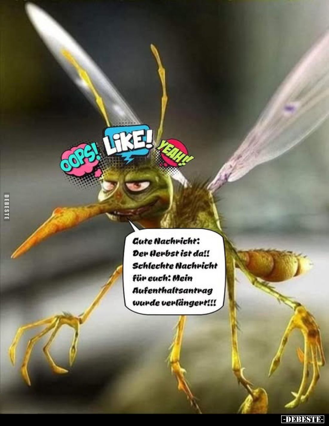 Gute Nachricht:
Der Herbst ist da!!
Schlechte Nachricht für euch: Mein Aufenthaltsantrag wurde verlängert!!!