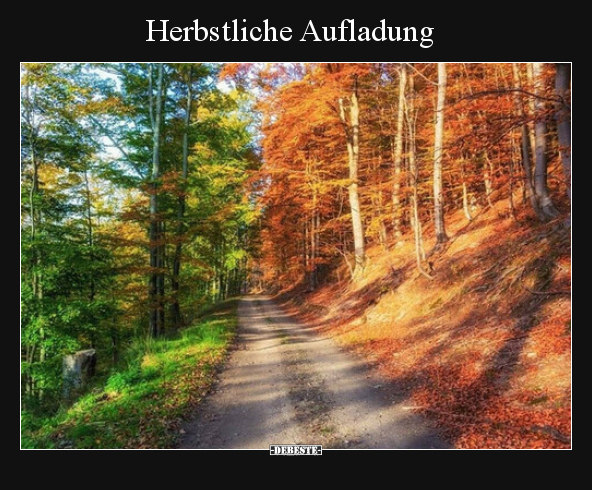 Herbstliche Aufladung.. - Lustige Bilder | DEBESTE.de