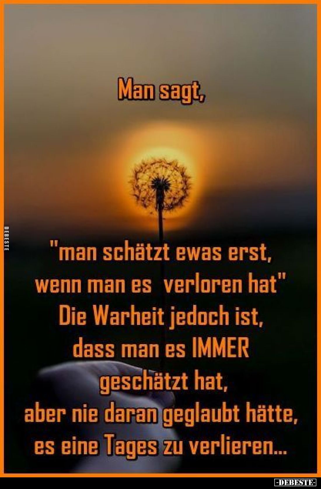 Man sagt,
"man schätzt etwas erst, wenn man es verloren hat"
Die Wahrheit jedoch ist, dass man es IMMER geschätzt...