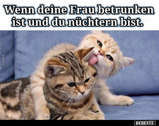 Wenn deine Frau betrunken ist und du nüchtern bist... - Lustige Bilder | DEBESTE.de