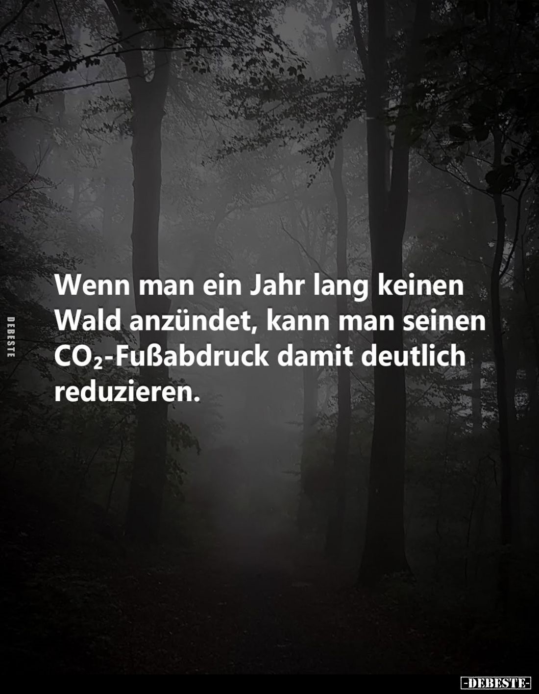 Wenn man ein Jahr lang keinen Wald anzündet, kann man seinen CO2-Fußabdruck damit deutlich reduzieren.