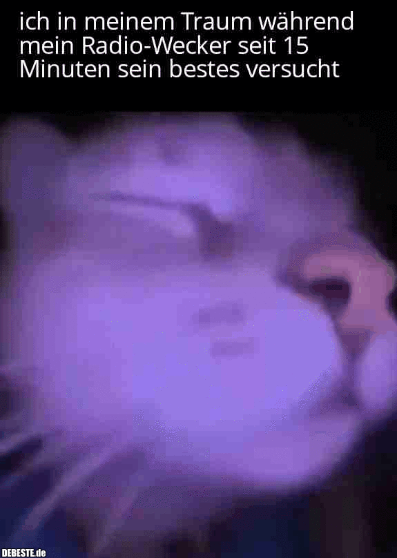 Ich in meinem Traum während mein Radio-Wecker seit 15 Minuten sein bestes versucht. - Lustige Bilder | DEBESTE.de